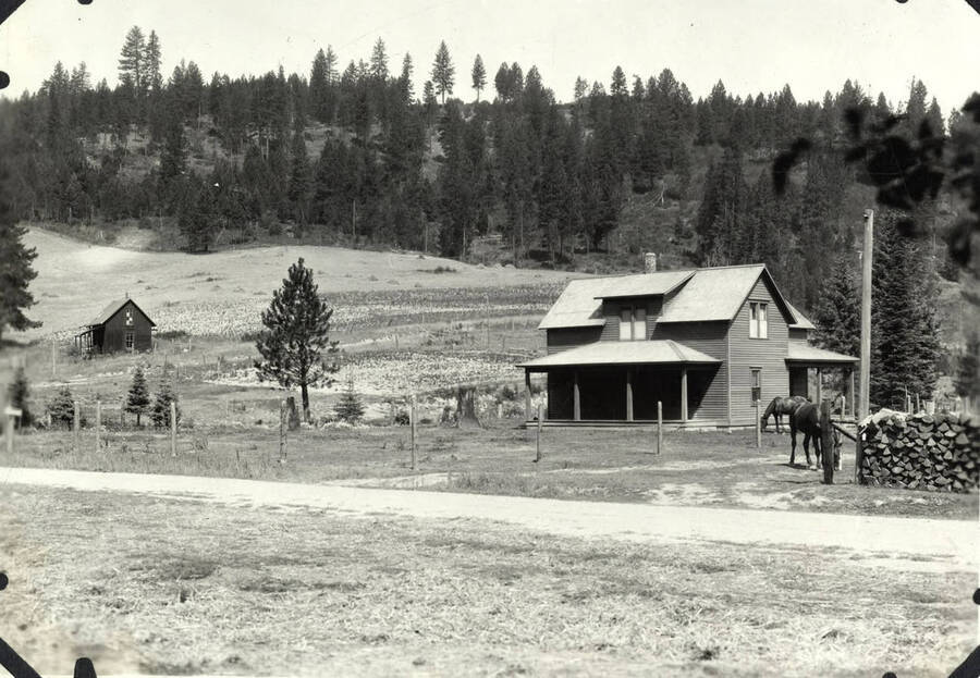 Two horses graze near a farm house. In the distance is another farm building.