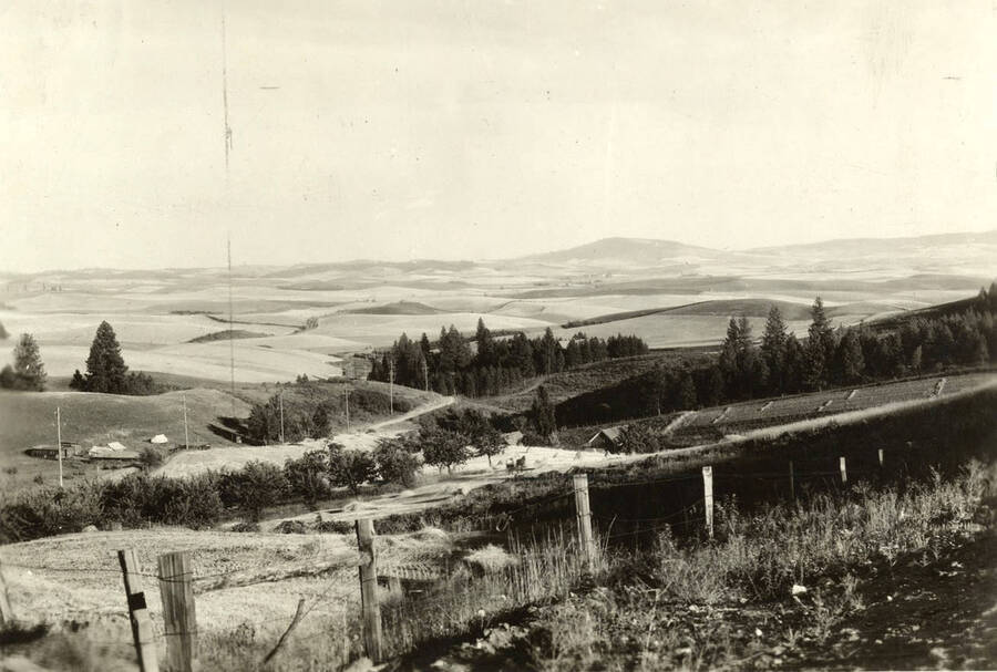 Looking down from a hillside, farm land is seen.