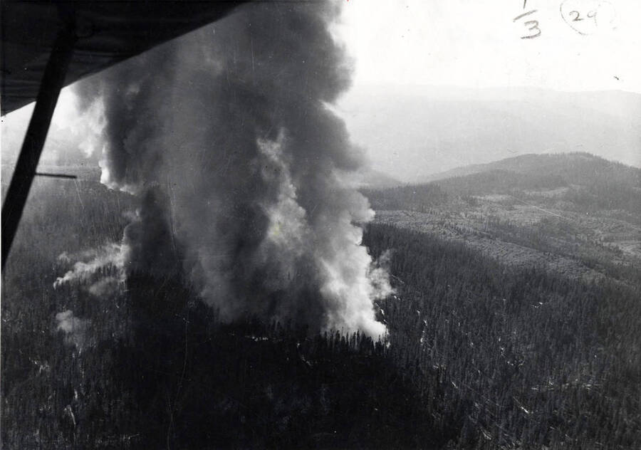 Aerial photograph of the Meadow Creek forest fire. Columns of smoke rise from the tops of the trees. Written on the back of the photograph is 1949 Meadow Cr. Fire A.B. Curtis photo life