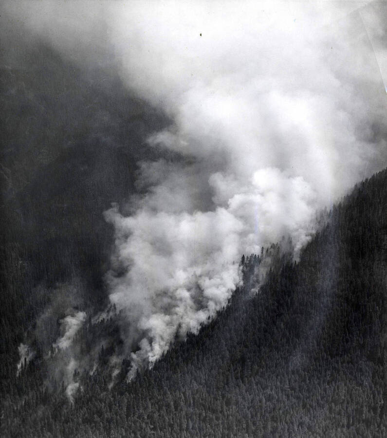 Smoke fills the air from a forest fire. Description on the back reads "Eagle Rd. Lookout, 60 mi, ne of Orofino."