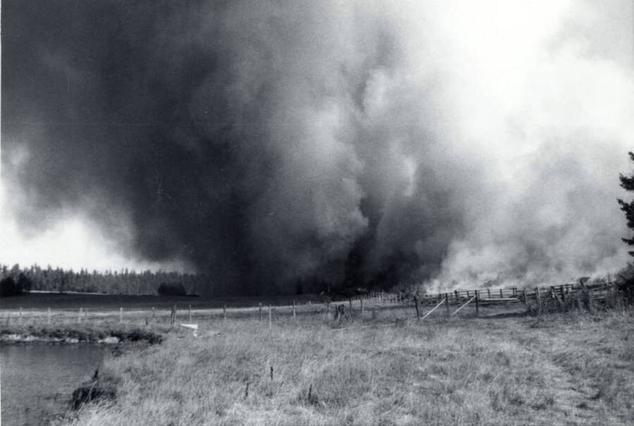 Large plumes of smoke rise from a controlled burn. The land in the foreground, including that surrounding a pond, is untouched.