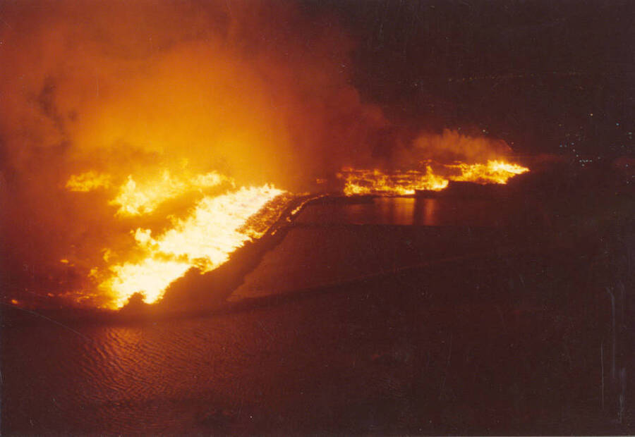 Flames from a forest fire reach the edges of two ponds