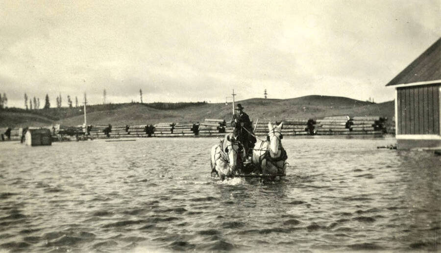 A man drives a team of horses through flood waters in Potlatch, Idaho.