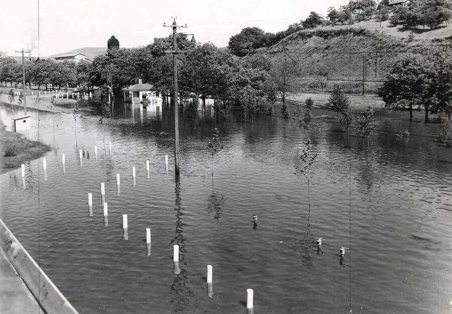 Flood waters cover a street in Potlatch, Idaho. In the background of the picture, a silo can be seen. The description on the back of the photograph says '1948 flood - in town'