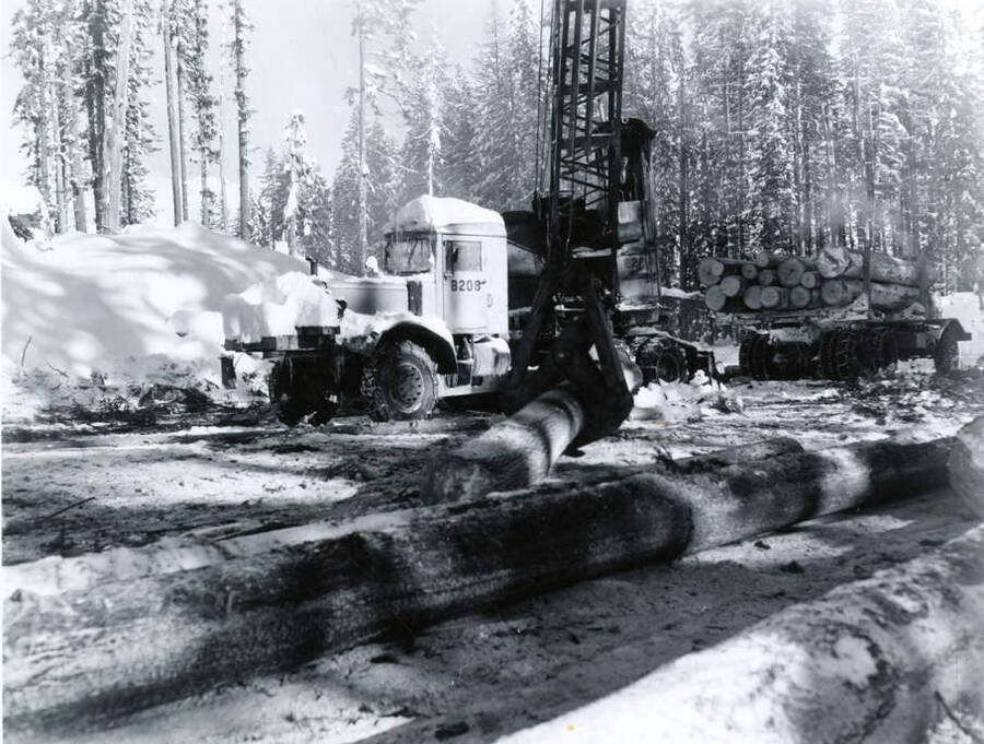 A crane picks up a log to put it on a truck for hauling. In the background are piles of snow. Written on the back of the photograph is 'Cedar Cr. 1/13/60'