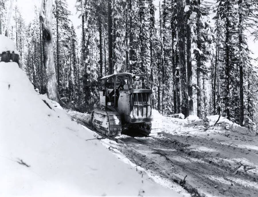 A tractor pulls a log out of the forest surrounded by snow. Written on the back of the photograph is "TD 25 experimental 1/13/60."