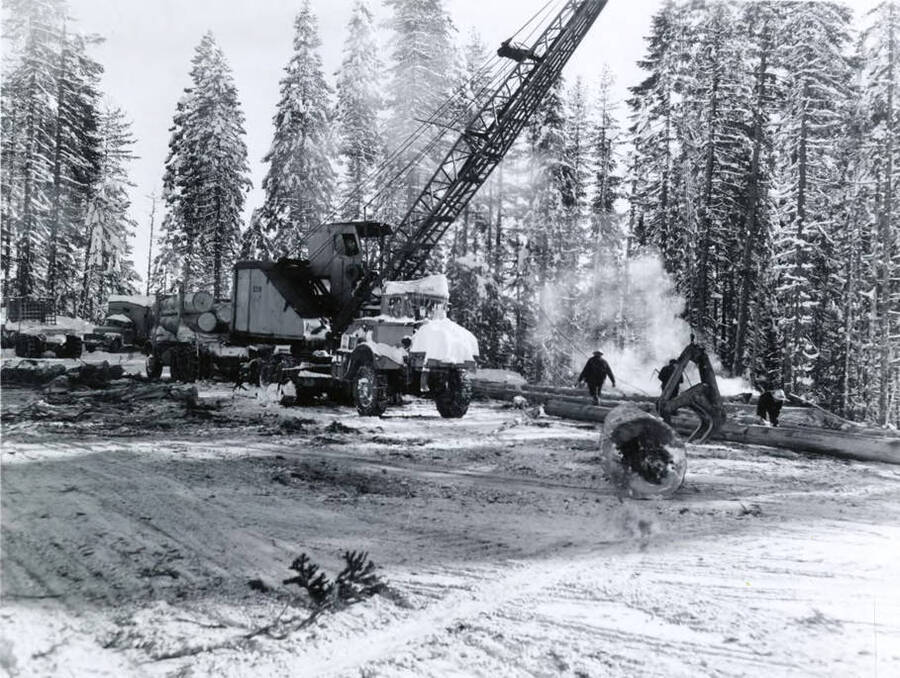 A crane is about to pick up a log to put it on a truck for transport to the mill. Two men work to prepare the next log. Written on the back of the photograph is 'Cedar Cr. 1/13/60'