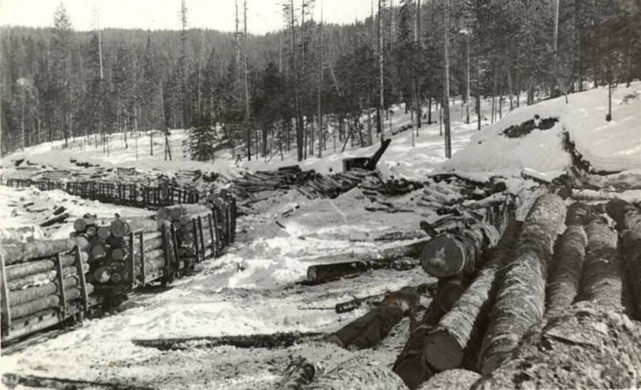 Logs are piled and covered with snow while flatcars full of logs are waiting to be transported to the mill. Typewritten on the back of the photograph is "Feb 16, 1943, Cp 27. Landing for Cp 27 and is about plugged."