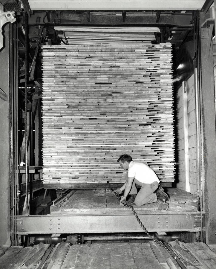 A man reads lumber for the dry kiln. The back of the photograph includes "Imel studio 703 8th st. Lewiston, Idaho."