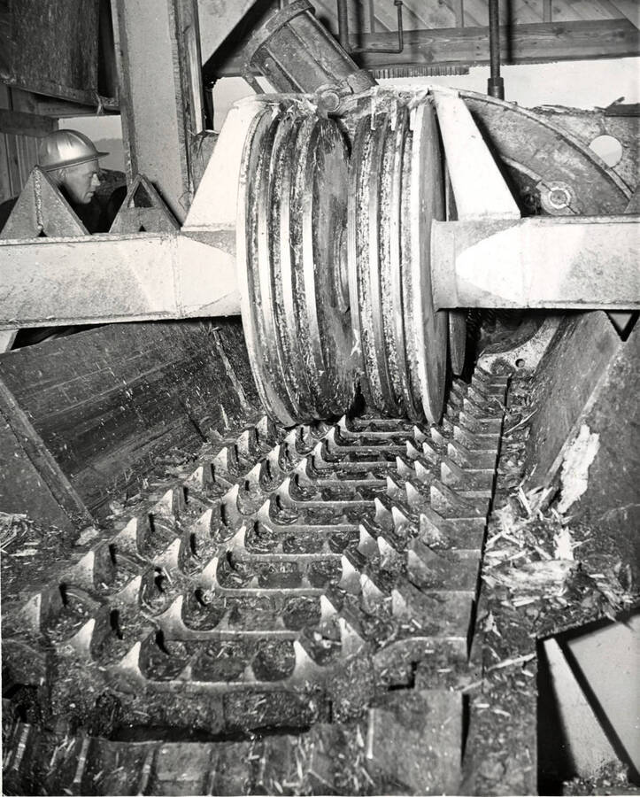 Attached with this photograph was a description that reads: "Off bearing chain the two hold down wheels which rest on the log under pressure and keep it from moving off the chain. There are two more rollers exactly like these which hold the in-coming log in place."