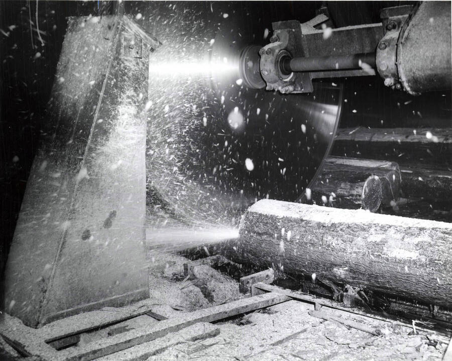 A log being run through a saw. Description on the back of the photograph says "cut off saw between hydraulic log-braker and head rigs."