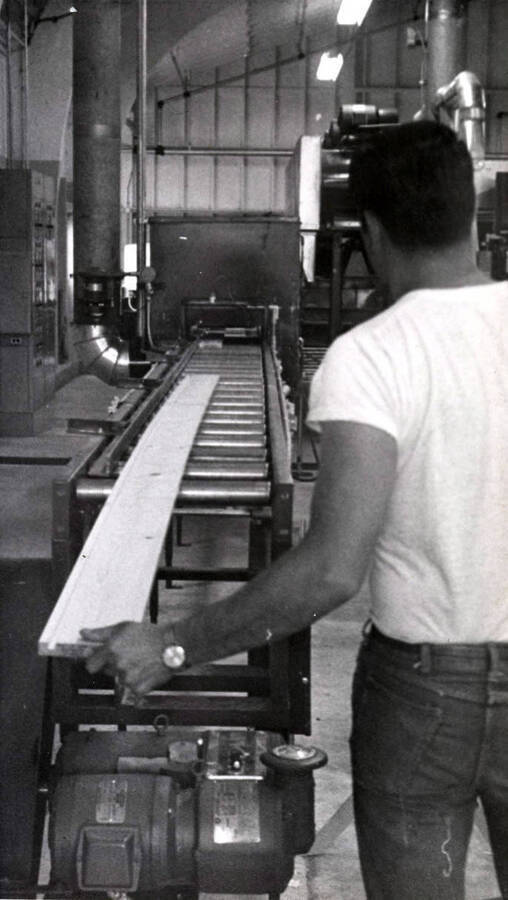 A man pushes a plank of wood down a roller conveyor belt.