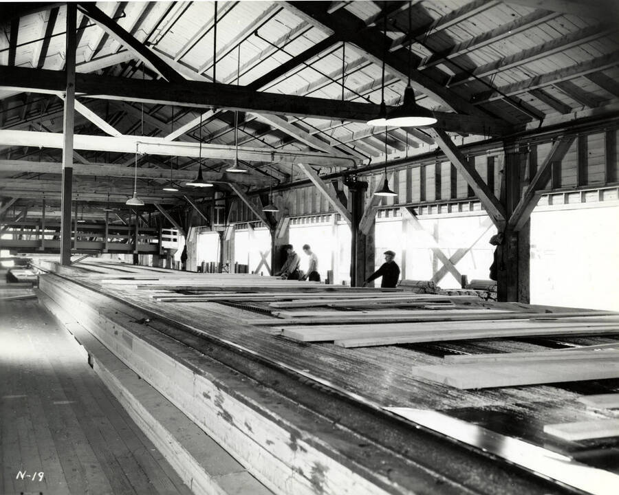 Men monitor lumber as it works along the green chain. The description on the back reads "Green Chain and workers."