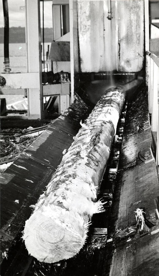 Log being brought into the mill.