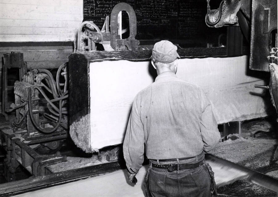 A man operates a gang saw as a log goes through the machine.