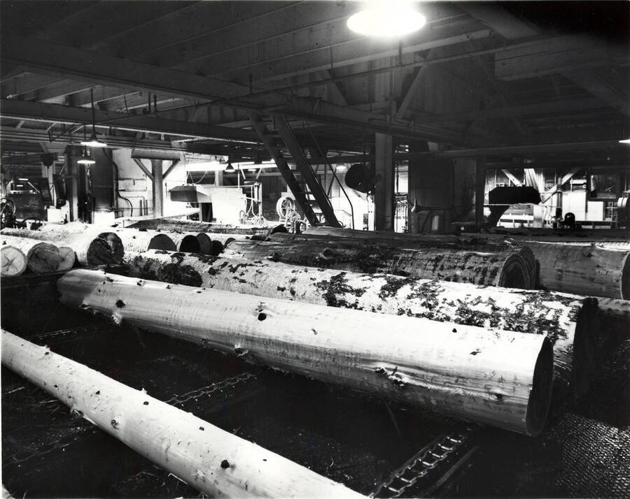 Debarked logs sit waiting for the next step in the process. The description on the back reads "PFI Head rigs, from right to left #1, #2, and #3 (Lewiston)." On the back it also lists the identifying number as #4938-1 as well as the photographer. This reads as "Bill Jones Photography 6311 S. W. Wilbard St. Portland 19 Oregon Ch. 4-4943."