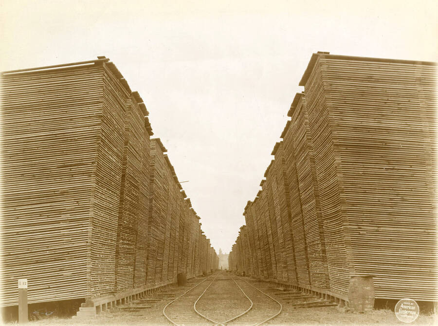 Alley No. 12 in lumber yard from east. (Description taken from American Lumberman papers found within the folder) Photograph taken between September 28 and October 4.