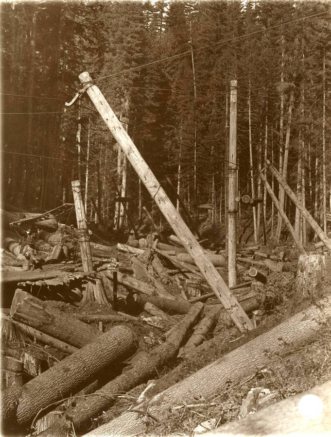 Cut timber logs surround poles that are holding up a cable system. The description taken from American Lumberman papers found within the folder say: "Curve in Cable tram road 1 1/4 miles above Camp 13, showing station [sic] where returning trolleys are shifted." Photograph taken between September 28 and October 4.