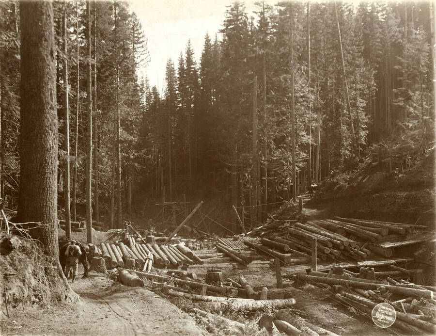 View from above loading skidway at noontime. Description taken from American Lumberman papers found within the folder. Photograph taken between September 28 and October 4.