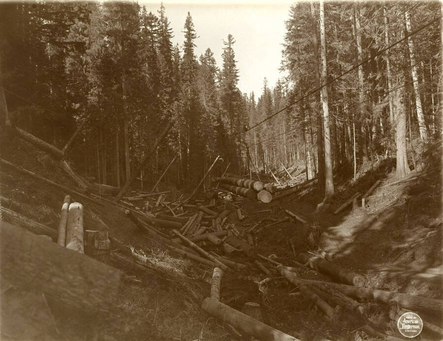 Looking up from turn below lunch shack. Description taken from American Lumberman papers found within the folder. Photograph taken between September 28 and October 4.