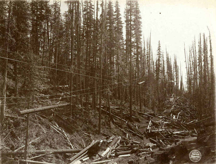 View across the big canyon where line is highest and longest, about 2,500 feet from upper end. Description taken from American Lumberman papers found within the folder. Photograph taken between September 28 and October 4.