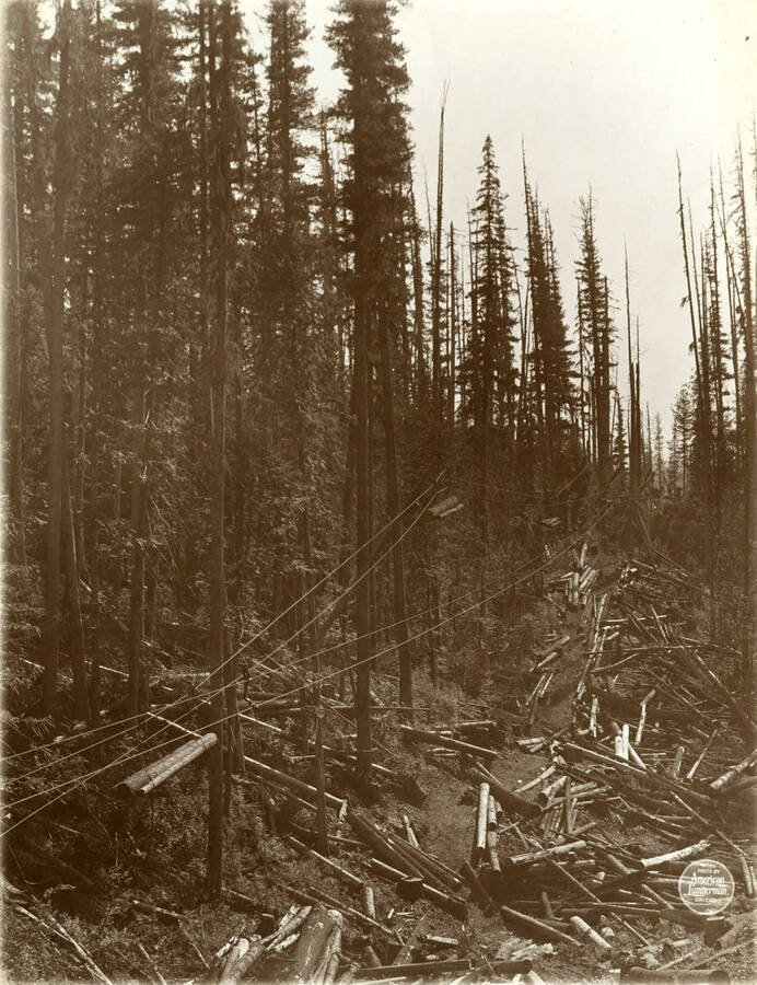View across the big canyon where line is highest and longest, about 2,500 feet from upper end. Description taken from American Lumberman papers found within the folder. Photograph taken between September 28 and October 4.