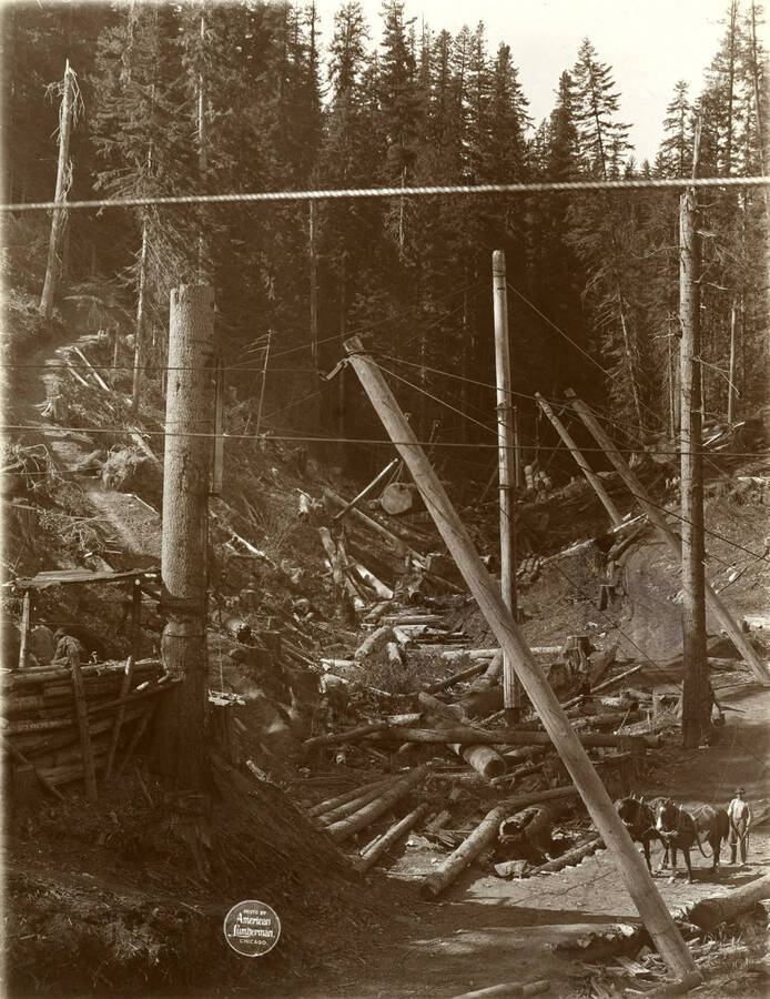 At the first curve looking up, also showing first station. Also included in this photo is a man standing behind two draft horses in harness. Description taken from American Lumberman papers found within the folder. Photograph taken between September 28 and October 4.