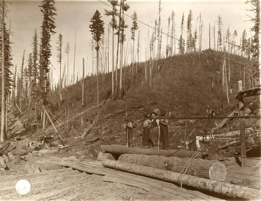 T. P. Jones and crew at lower landing with one chain released. Description taken from American Lumberman papers found within the folder. Photograph taken between September 28 and October 4.