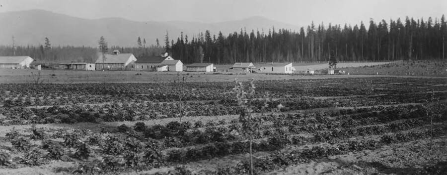 View of large vegetable garden with agricultural buildings in the background.
