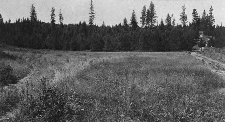 Hearing before the Board of Equalization, Moscow, July 28, 1913. 24 views of land with legal description and assessment of each parcel. Lot 3 or NW1/4 SW1/4 7-41-4W; Land assessed at $15.00 per acre (erroneously described on roll as the SW1/4 NW1/4).