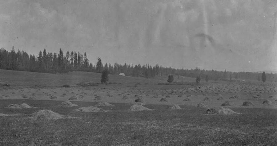 Hearing before the Board of Equalization, Moscow, July 28, 1913. 24 views of land with legal description and assessment of each parcel. SE1/4 NW1/4 29-42-4W Albert Schultz land assessed at $35.00 per acre.