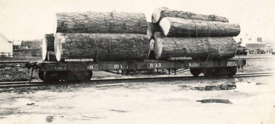 Logs on the way to the mill at Potlatch.