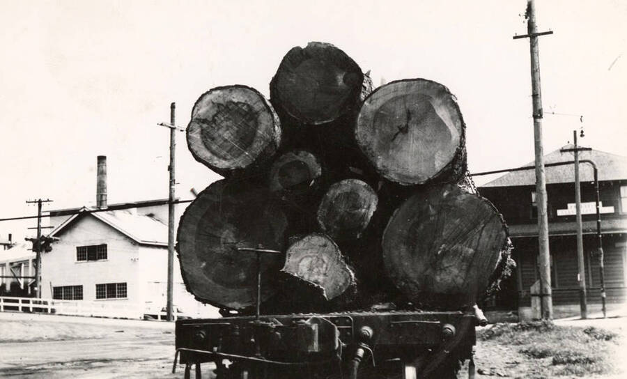 Logs on the way to the mill at Potlatch.
