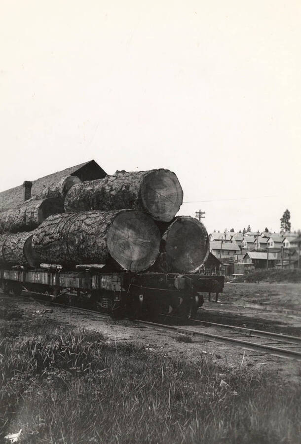 Logs loaded on a railway flat car in Potlatch.