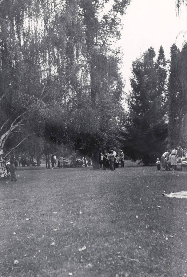 The picnic was held at Palouse Town Park.
