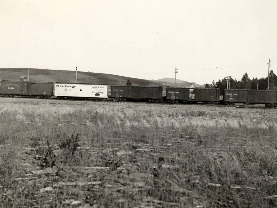 View of several CP box cars and a Pres-to-logs box car.
