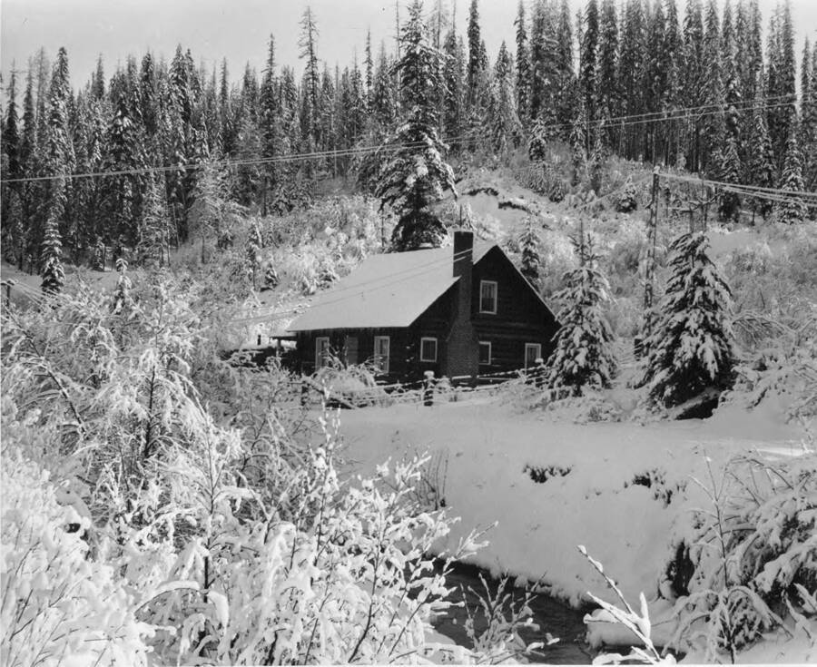 The Todd family house in Headquarters, ID is surrounded by snow covered trees. A creek can be seen in the lower part of the photograph.