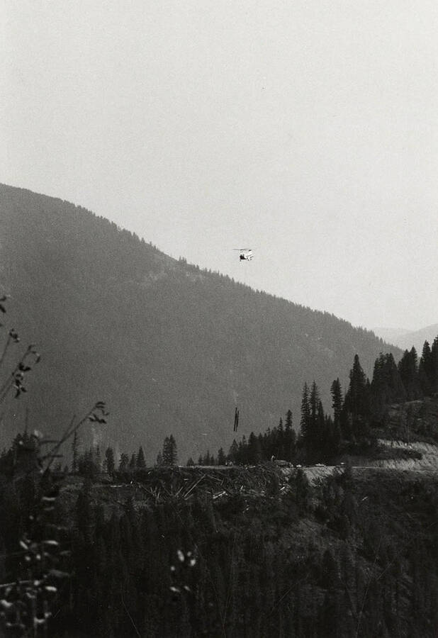 A Vertol twin rotor helicopter flies a load of logs to the log deck.
