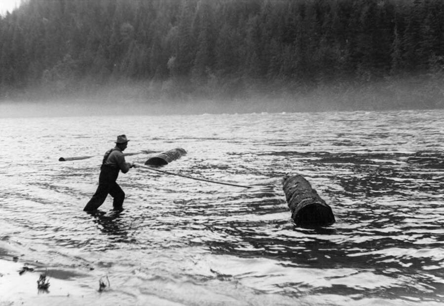 A man uses a long pole to push a log back towards the center of the river during a log drive.