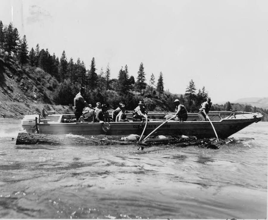 Three men in the front of the boat hold ropes attached to a log on the side. One man steers the boat, while the rest watch. The description on the back reads ''Brailing' (towing logs) with 'Cleopatra barge'. This metal boat has been in use since 1959.'