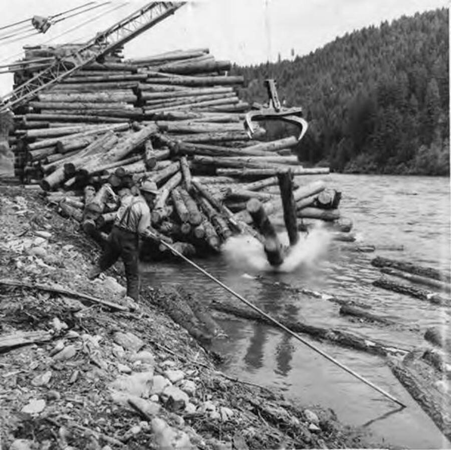 A man helps push logs into the river as a crane above him dumps logs. The description on the back of the photograph reads '"breaking"' the decks to start logs on their way to Lewiston.'