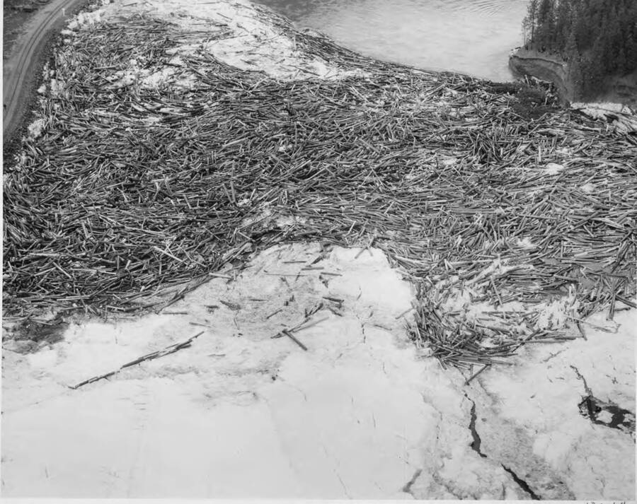 A large log jam has stopped the flow of the river. Stamped on the back of the photograph is 'Scamahorn Studio Phone RI. 8722, Kuhn Bldg. Spokane, Wash.'