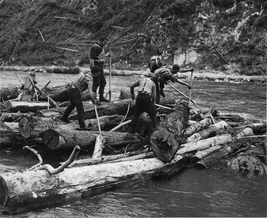 Men work to unjam logs using peavies.