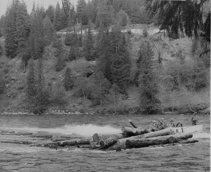 One of Potlatch's boats powers away from a log jam that is breaking up. The description on the back of the photograph reads ''She's hauling comes the cry of the lookout man as logjam disintegrates into icy current of Clearwater. Men escape in waiting jet boat after uncracking midstream pileup.'