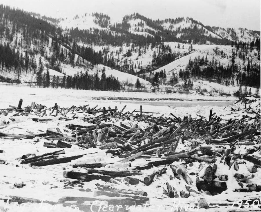 Snow covered logs form a jam on the Clearwater River.