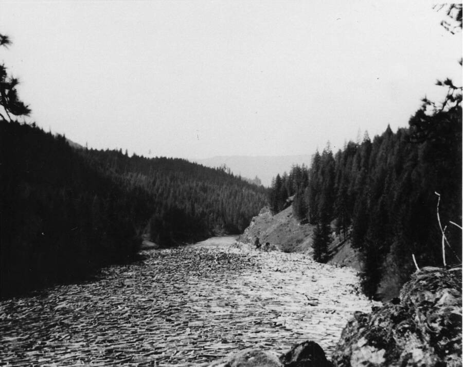 A log jam about five miles from the mouth of Elk Creek.