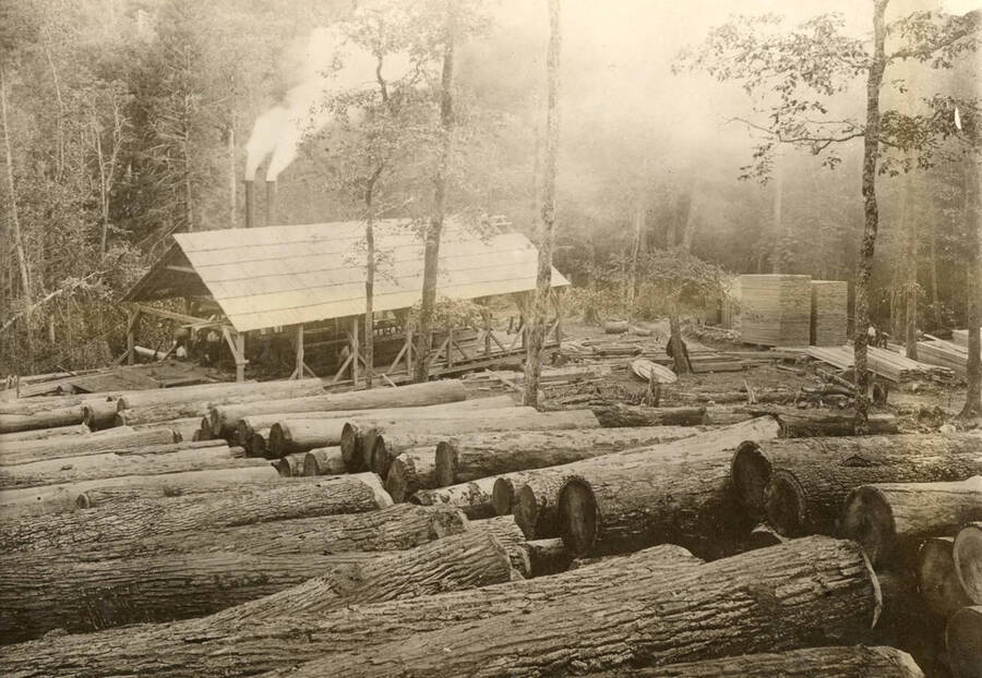Typical lag yard and sawmill