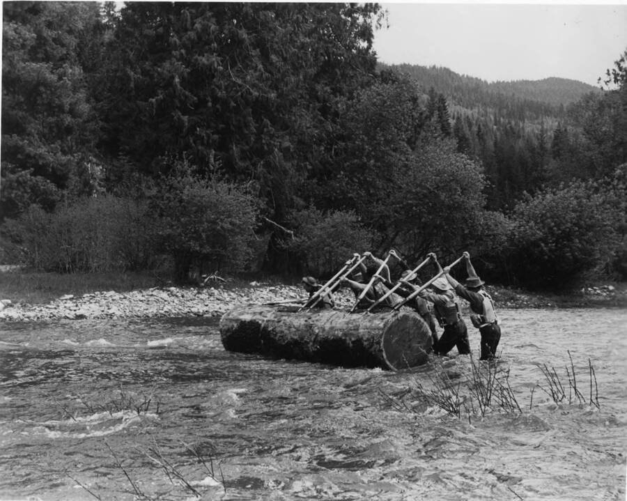 Six men use peavies to drive a log in the rapidly moving river. The descriptions on the back of the photograph read 'muscles straining, half-a-dozen Potlatch drives "lean into it" as they manhandle a log back into the main stream. Unexpected cold snaps can cause the river to drop as much as two feet in a single day, resulting in thousands of beached logs such as this," and "driving logs could be cold hard work at times. Water temperatures were often near 37 degrees and men sometimes worked in it up to their shoulder.'