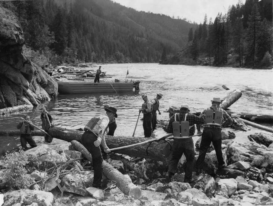 Men use peavies to move a log that has breached itself on shore. In the background, a man stands in a boat 'Cleopatra'. Attached to the photograph is a newspaper clipping which reads 'this work with peavies, dynamite, sweat, and brawn goes on through the annual drive like an endless belt of the stream through which the crew sloshes and wades to get the job done. more than 50 million board feet of timber flows downstream. the crew works all but about 15 miles of the 85-mile river course taking to the water when the bulk of the logs are in the mill pond from the two river camps and countless decks of logs stacked by the river by contractors. their work is the 'rearing' operation.'