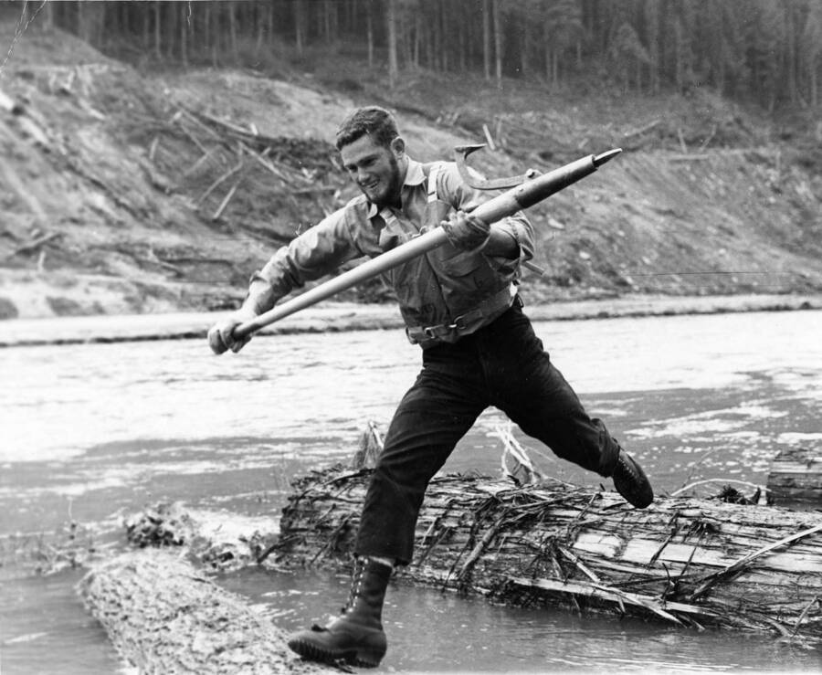A worker jumps from log to log carrying a peavy.